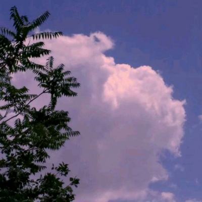 娱乐宝官网app下载